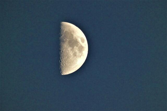 Ganzer Mond mit Sonnen - u nd Schattenseite