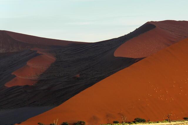 Wüste Namib