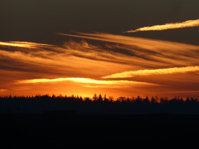 Abendliches Licht - und Schattenspiel