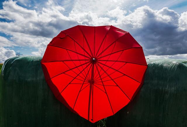 Roter Schirm