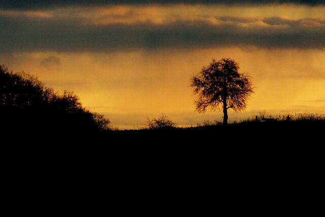 Morgendliches Schattenidyll