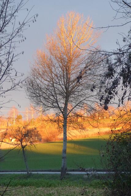 Licht und Schatten