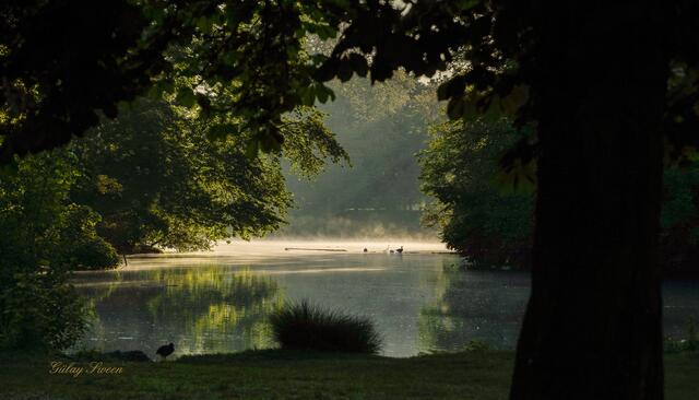 Früh morgens