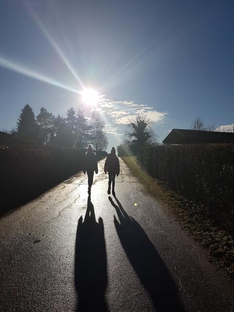 Herbst Schatten