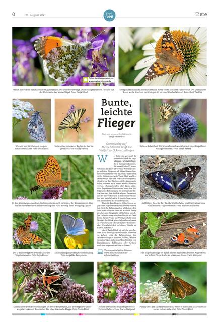 So schön sieht die Tierbilderseite aus, die am 21. August im Magazin der Zeitung zu finden ist.