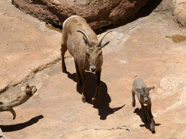 Mama und Kind