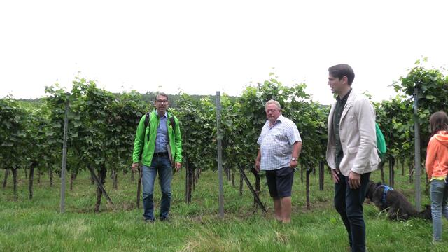 Dr. Baumann, Adolf Monninger (NABU-Kreisvorstand) und Lars Maximilian Schweizer | Foto: Die Grünen