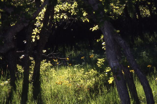 Licht und Schatten