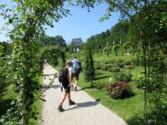 Nochmal ein Überblick über den Rosenneuheiten Garten
