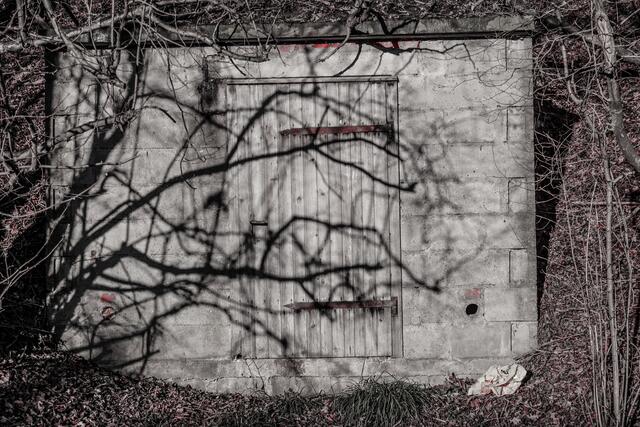 Schatten von Ästen