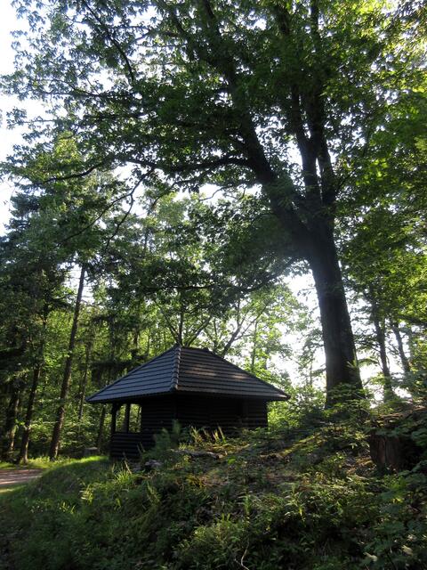 Gelbeichhütte, dahinter soll das ND "Gelbeiche" sein. Leider haben wir darüber nichts genaues gefunden, der Baum auf dem Bild ist eine Eiche, aber ohne Auszeichnung als Naturdenkmal.