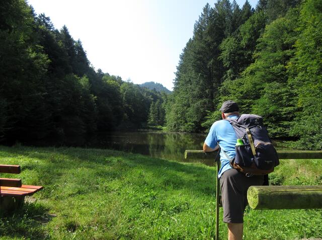 Waldsee