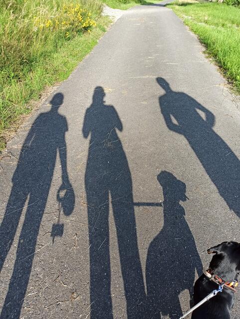 Gassirunde