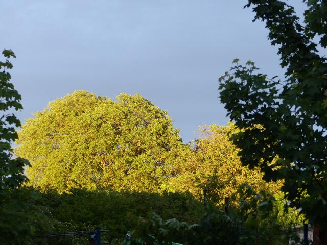 Vor dem Gewitter