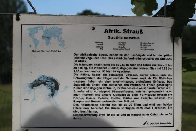 Informationstafel Strauß
