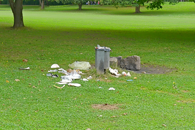 das weniger schöne im Park
