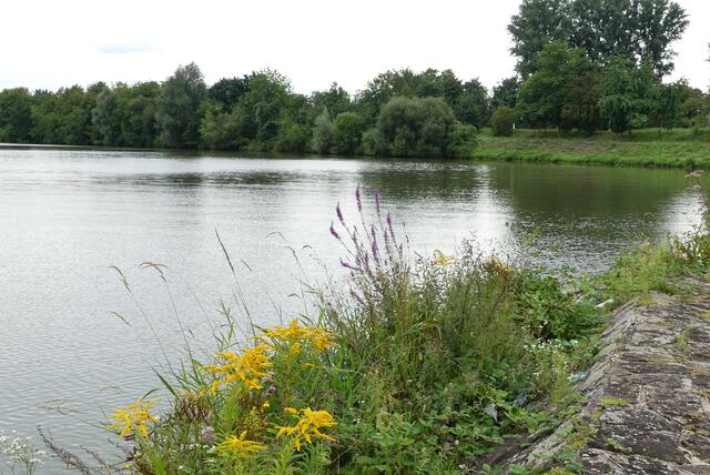 Abstecher an den Neckar