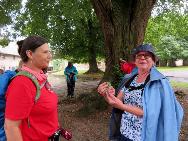 Eine Wanderfreundin erhielt die Ansteckblume für 150 km gemeinsam mit der Gruppe. | Foto: Aurelia Kling