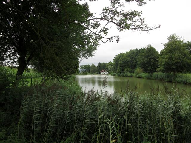 Der Lehrensteinsfelder Weiher ist Eigentum des Fischereivereins Heilbronn-Böckingen, Betreten und Baden verboten.