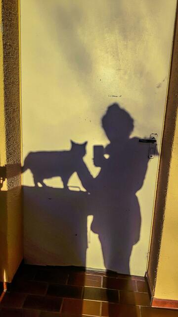 Meine Katze und ich
