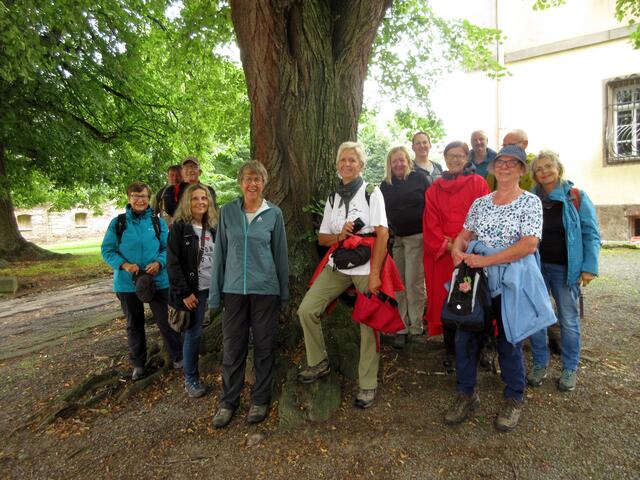 Die große Linde bot Schutz vor dem Nieselregen und war auch gleich eine tolle Gelegenheit für das Gruppenfoto