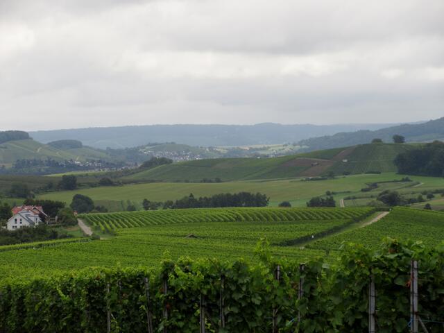 Eine tolle Aussicht, trotz des trüben Wetters. Wenn die Sonne scheint kann man sich hier in die Toskana träumen.