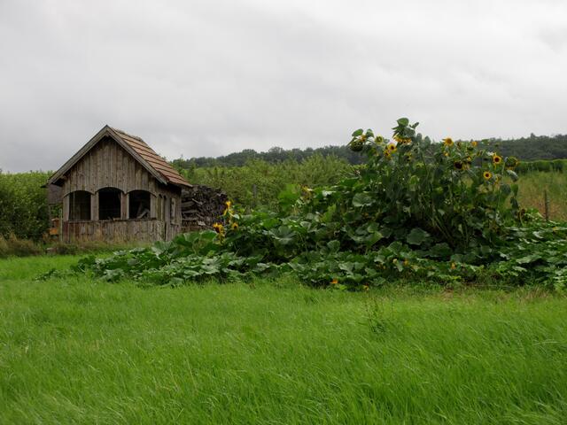 Eine Hütte unterwegs auf der Wein Tour
