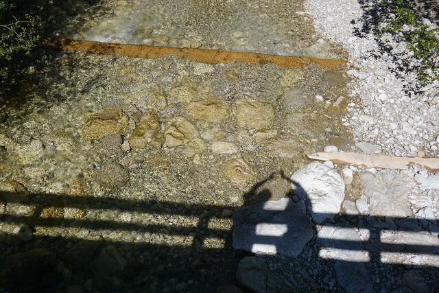 Schatten im Bach