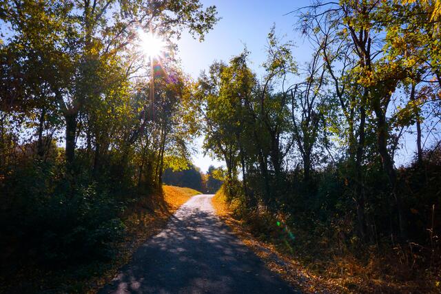 Schatten im Herbst