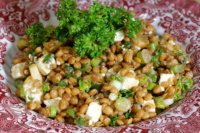 Rebeccas Linsensalat  I