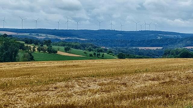 Fernsicht zum Harthäuser Wald