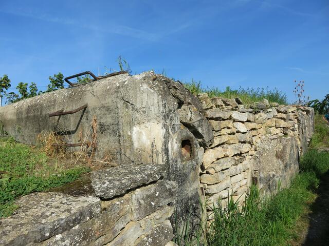 Dieser Bunker oberhalb des Prallhangs war zwar auch gesprengt, aber bis vor einigen Jahren noch begehbar. Man hat ihn dann mit Steinen zugesetzt und oben mit Erde aufgefüllt, sodass er jetzt bewachsen ist. | Foto: Aurelia Kling