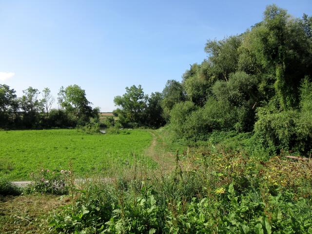 Blick hinunter zum Neckar und Richtung Lauffen