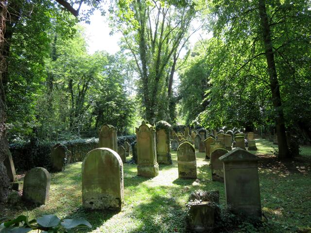Jüdischer Friedhof in Sontheim | Foto: Aurelia Kling