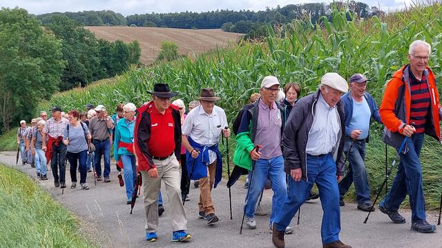 Hinauf zum Roßberg