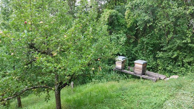 Bienenstöcke