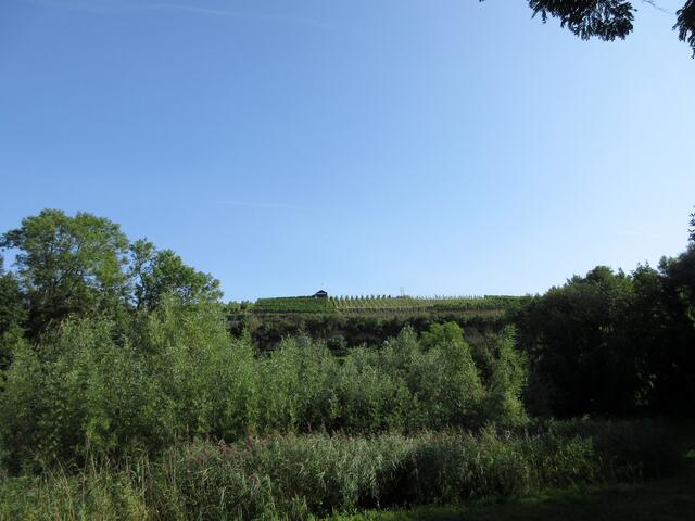 Blick zurück zum Aussichtspunkt, wo unser Gruppenfoto entstanden ist.