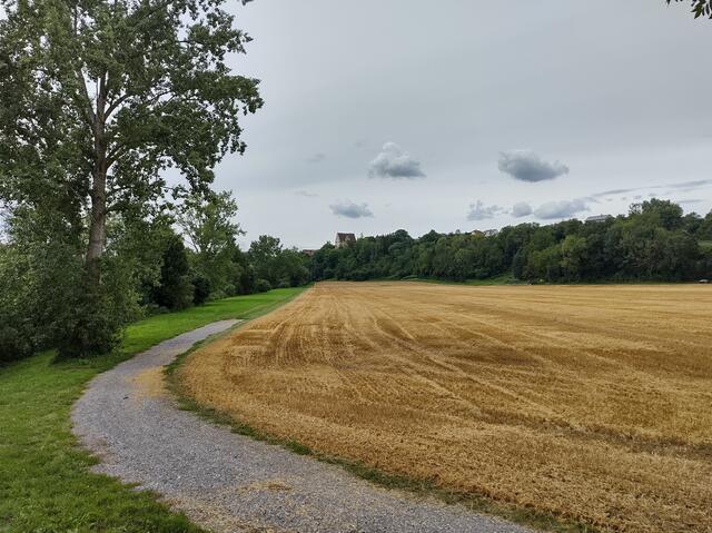Kocher Radweg