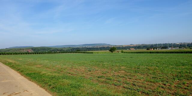 Aussicht über Klingenberg bis zum Heuchelberg