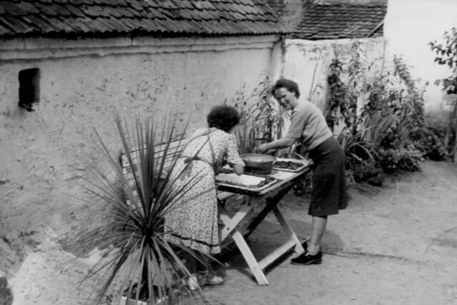 1951: Zwetschgenkuchen machen auf dem Land, eins meiner allerersten Fotos
