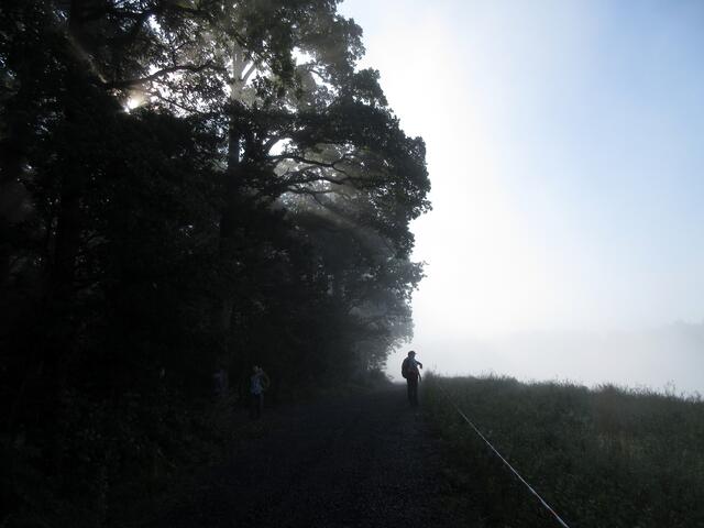 Mystisch und noch ohne Aussicht ging die Wanderung los