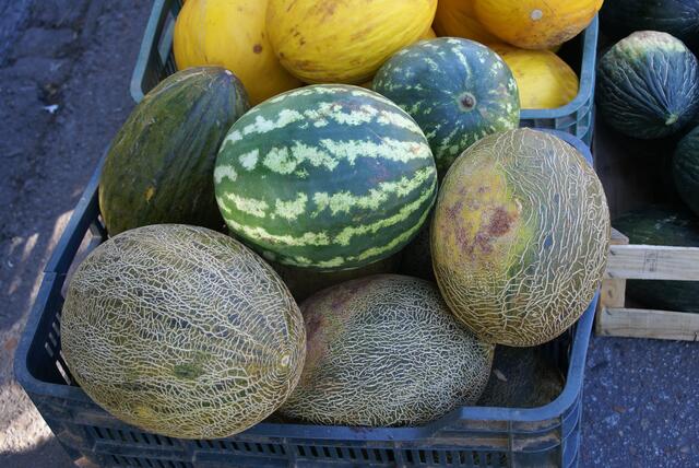 Melonen im Angebot