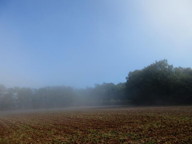 Blauer Himmel hinter den Nebelschwaden