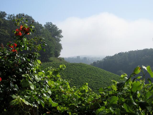 Aussicht Richtung Neipperg