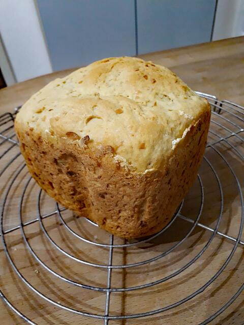 Das Brot aus meinem Backautomaten ist gestern nicht so richtig aufgegangen