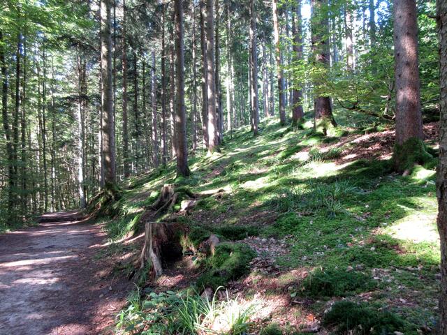 Der Hangweg ist aber auch "gehens"-wert.