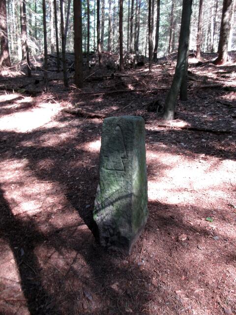 Wie wir nun wissen, steht die Pflugschar auf dem Grenzstein, dafür, dass es sich um ein Grundstück eines Waldbauern handelt