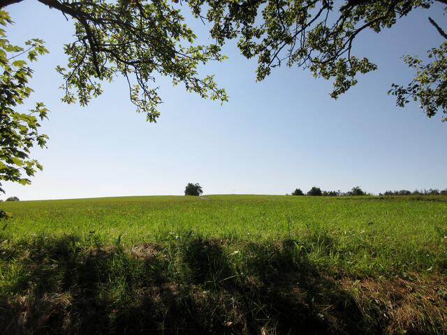 Wunderbar, nach der engen Schlucht ein Stück in der Sonne und Weite zu gehen.