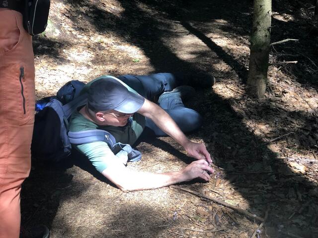 Im Murrhardter Wald liegen Wanderführer auf dem Grenzweg herum. | Foto: Elke Müller