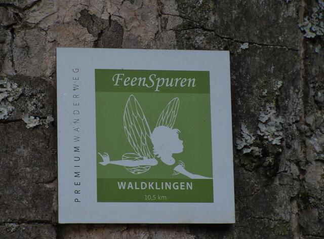 Ganz grob hielten wir uns an den Premiumwanderweg, der teilweise gesperrt ist. 2020 lag das an Corona und nun wurden die Brücken abgebaut. Es gab wohl Felsabbrüche und Hangrutsche in diesem Jahr.